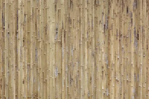 Bamboo texture background. Stock Photos
