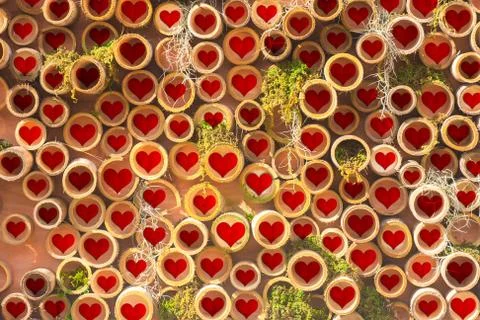 Bamboo texture Stock Illustration