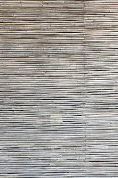 Bamboo texture with natural patterns Stock Photos