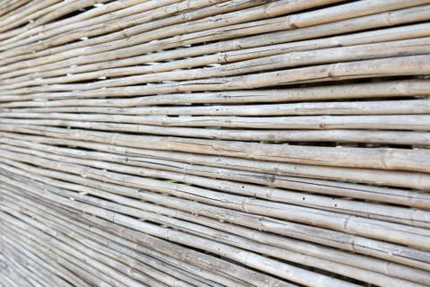 Bamboo texture with natural patterns Stock Photos