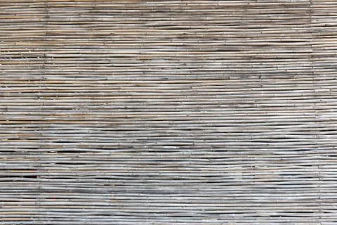 Bamboo texture with natural patterns Stock Photos