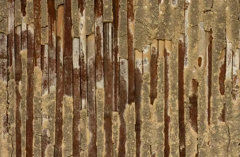 Bamboo texture with natural patterns Stock Photos