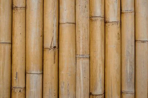 Bamboo texture pattern backgroung horizontal Fotos Stock