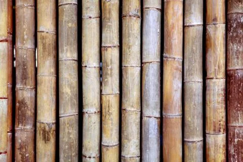 Bamboo texture Stock Photos