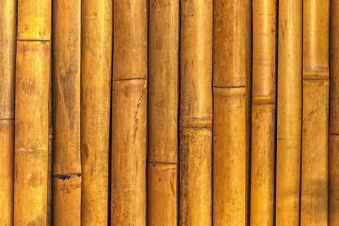 Bamboo texture Stock Photos