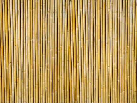 Bamboo textured background Stock Photos