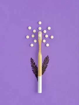 Bamboo toothbrush, eco toothpaste in tablets and dried plants on violet. Stock Photos