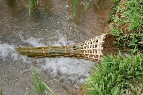 Bamboo trap Stock Photos