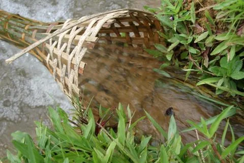 Bamboo trap Foto stock
