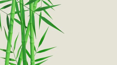 Bamboo tree background with copy space Illustrazione stock