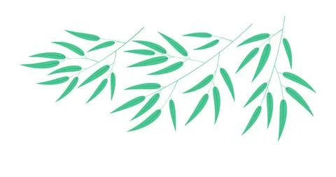 Bamboo tree branches illustration. Stock Illustration