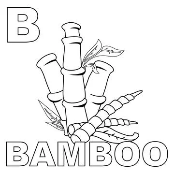 The bamboo tree coloring page, with a big B to introduce the letter B to kids. Stock Illustration