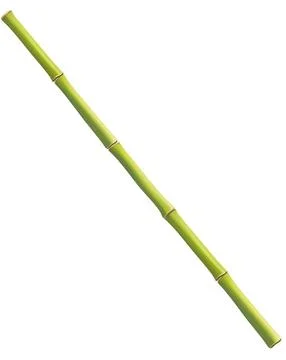 Bamboo tree forest background.use for decoration graphic resources transpar.. Stock Illustration