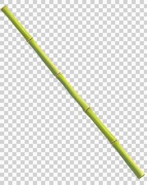 Bamboo tree forest background.use for decoration graphic resources transpar.. Stock Illustration