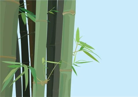 Bamboo Tree Stock Illustration