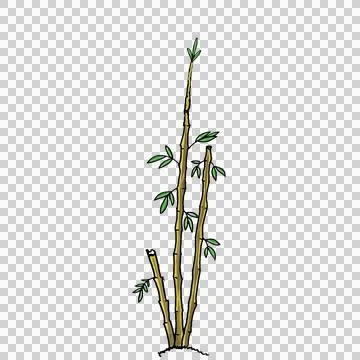 Bamboo tree Stock Illustration