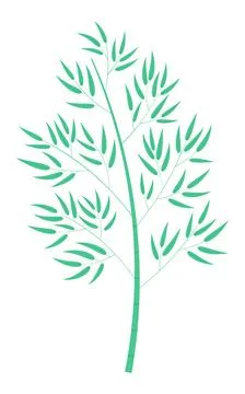 Bamboo tree illustration. Stock Illustration