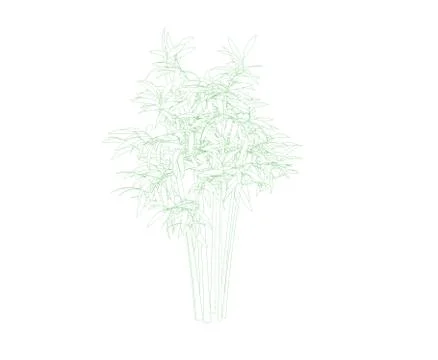 Bamboo tree. Isolated on white background. Sketch illustration. Иллюстрация