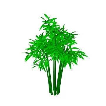 Bamboo tree. Isolated on white background. Isometric view. Stock Illustration