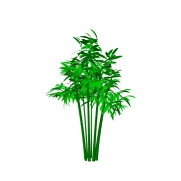 Bamboo tree. Isolated on white background. 3d Vector illustration. Stock Illustration