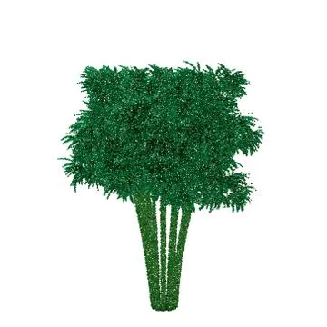 Bamboo tree. Isolated on white background. Vector illustration. 스톡 일러스트