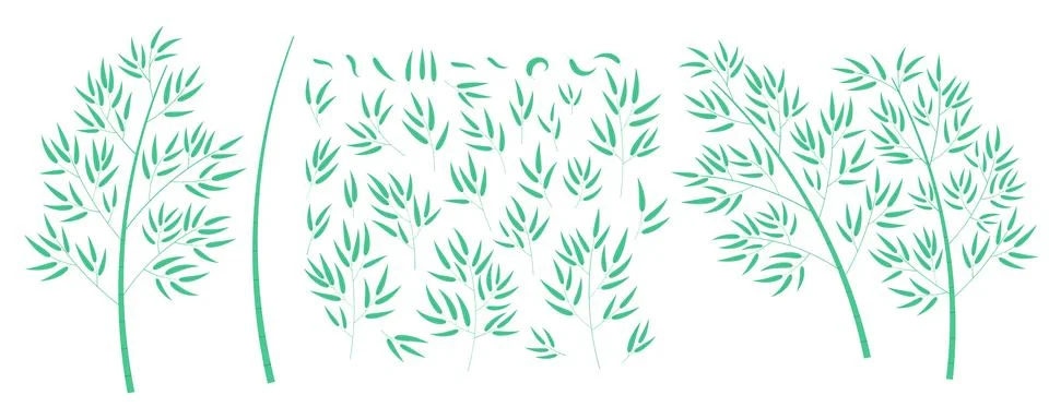Bamboo tree, leaves isolated elements collection Stock Illustration