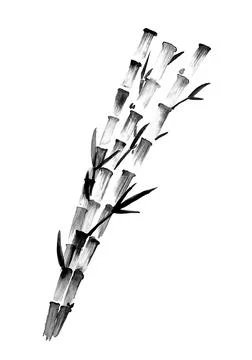 Bamboo tree retro old line art etching vector Stock Illustration