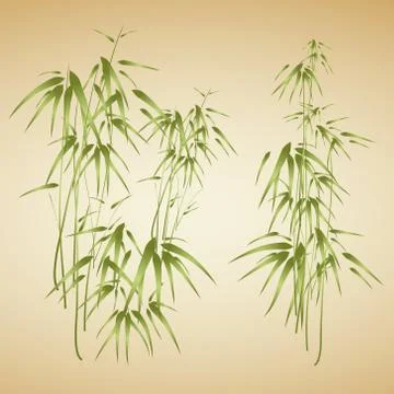 Bamboo tree set Stock Illustration