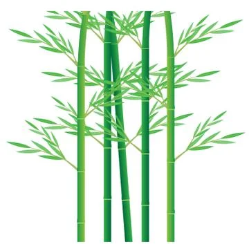 Bamboo tree vector design Stock Illustration