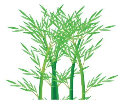 Bamboo tree vector design Stock Illustration