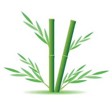 Bamboo tree vector design Stock Illustration