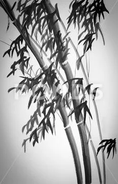 Bamboo trees Stock Illustration