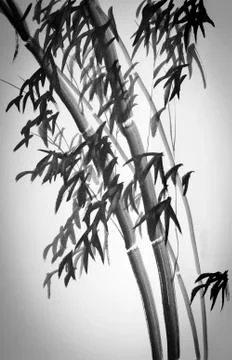Bamboo trees Stock Illustration