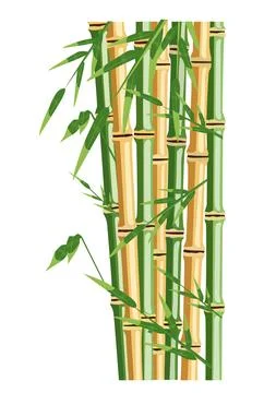 Bamboo trees with leaf. Color vector flat cartoon illustration Stock Illustration