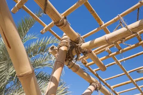 Bamboo trellis Stock Photos