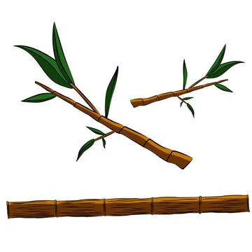 Bamboo trunk and bamboo twigs with green leaves isolated on white background. Stock Illustration