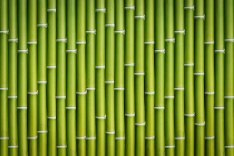 Bamboo trunk background Stock Photos