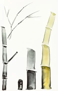Bamboo trunks are hand drawn on creamy paper Stock Illustration