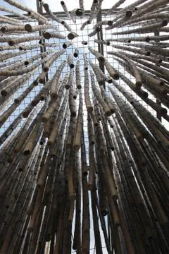 Bamboo trunks Stock Photos