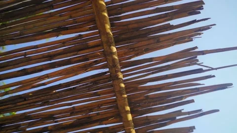 Bamboo umbrellas and sunbeds. Sandy Greek beach with sunbeds with beach beds and Vidéo 168917641