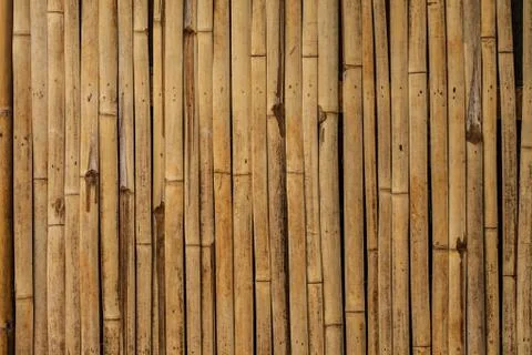 Bamboo using for a background Stock Photos