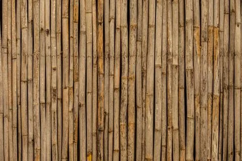 Bamboo using for a background Stock Photos