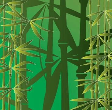 Bamboo, vector illustration Stock Illustration