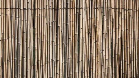 Bamboo wall background Footage Stock Footage 95151650