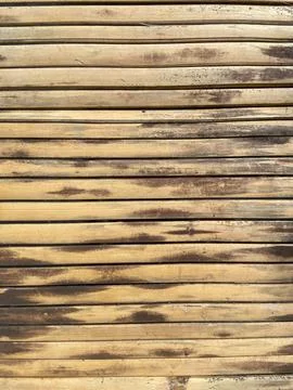 Bamboo wall background or texture Stock Photos