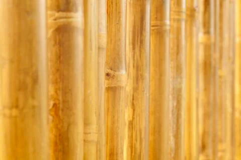 Bamboo wall background Stock Photos