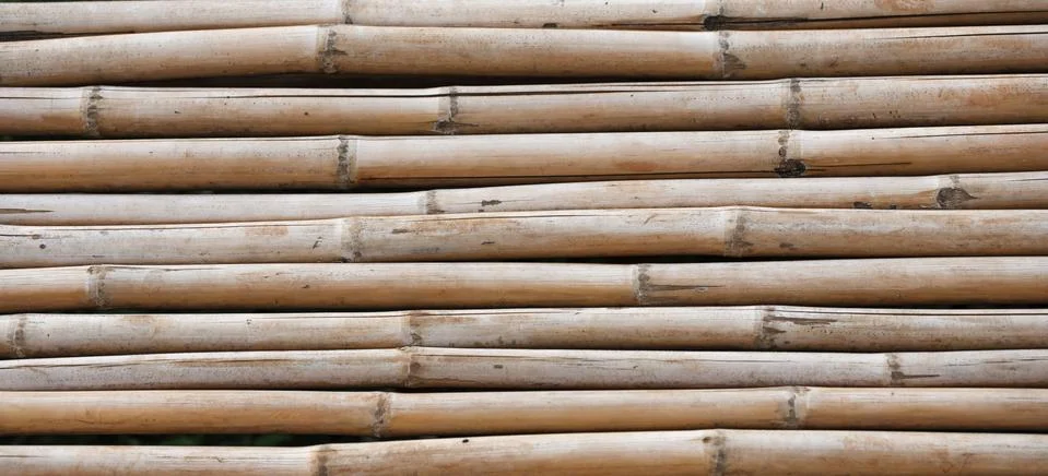 Bamboo wall background Stock Photos