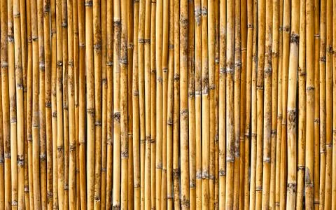 Bamboo wall background Stock Photos
