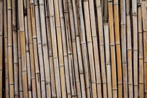 Bamboo wall background Foto stock
