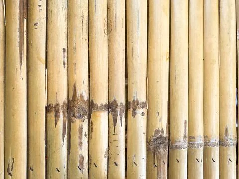 Bamboo wall background texture Stock Photos